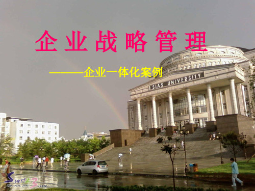 企业战略管理一体化