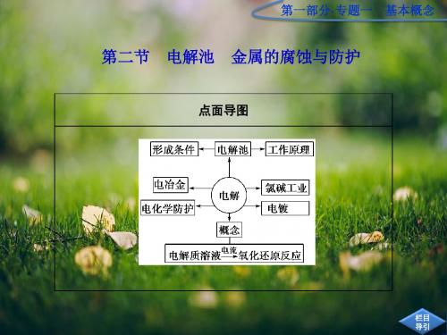高考化学第一轮考向分析25《电解池 金属的腐蚀与防护》复习课件 人教版