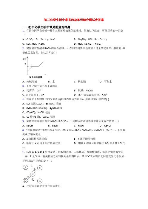 初三化学生活中常见的盐单元综合测试含答案