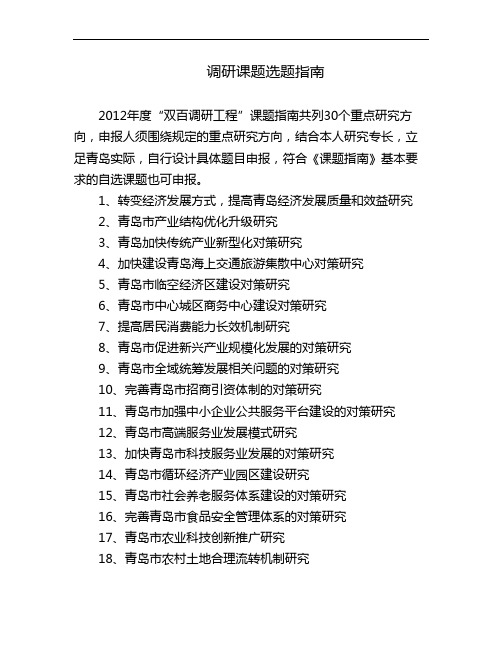 调研课题指南