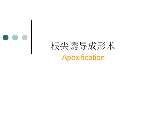 --根尖诱导.ppt