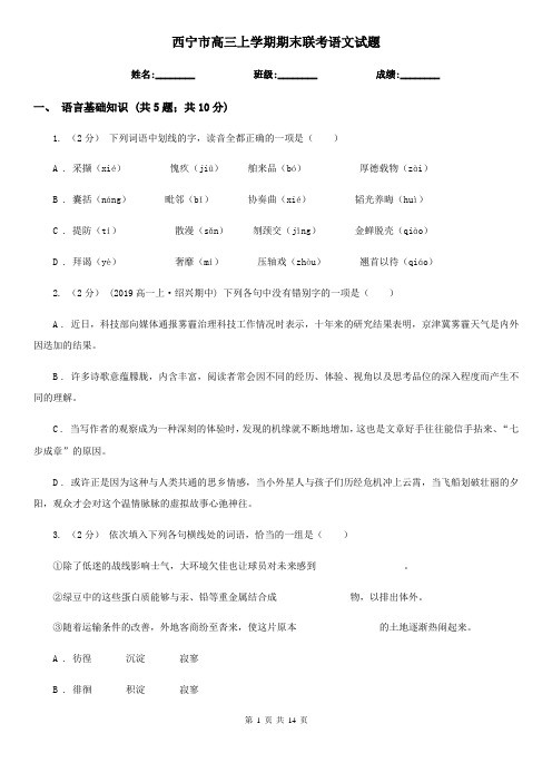 西宁市高三上学期期末联考语文试题