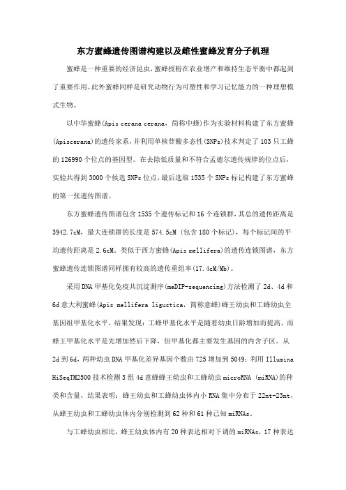 东方蜜蜂遗传图谱构建以及雌性蜜蜂发育分子机理