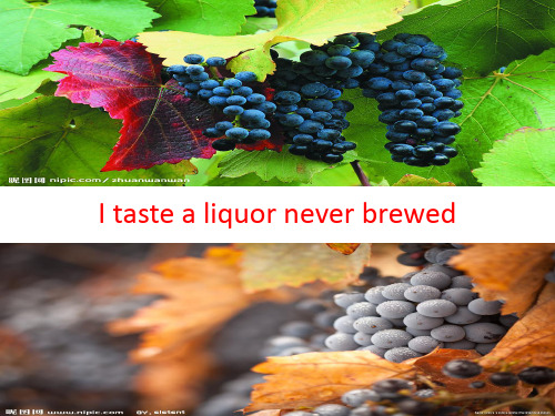 我品尝未酿之酒I taste a liquor never brewed