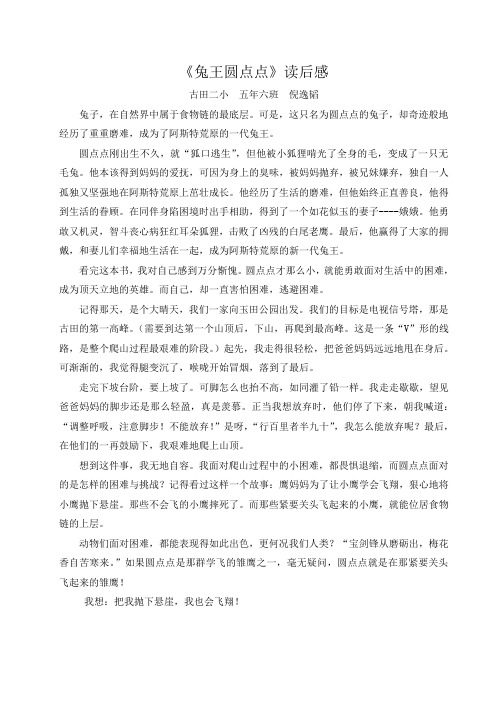 兔王圆点点