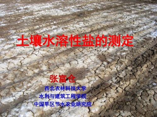 土壤水溶性盐的测定西北农林科技大学张富仓