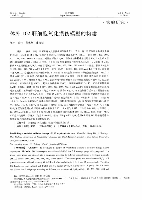 体外L02肝细胞氧化损伤模型的构建