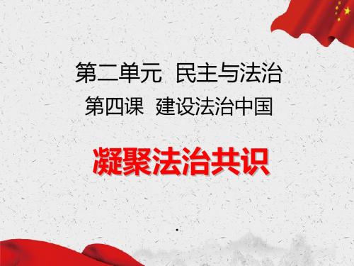 人教版道德与法治九年级上册 4.2 凝聚法治共识 课件(共25张PPT)