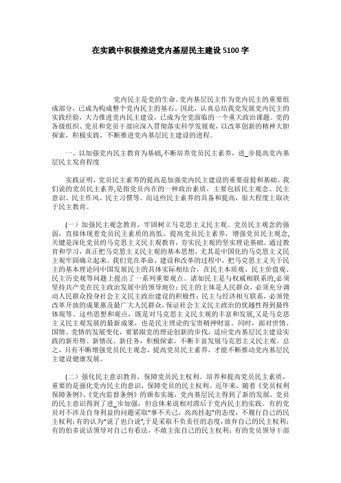 在实践中积极推进党内基层民主建设5100字