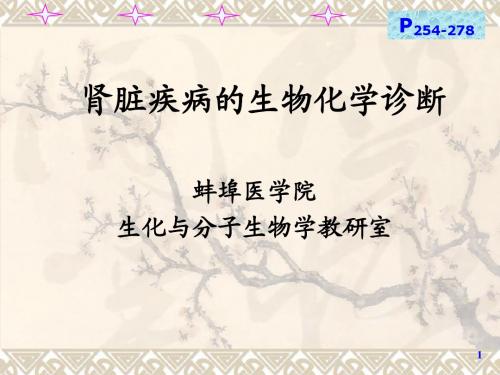 10肾脏疾病的生物化学诊断