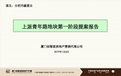 2019年1月6日合肥上派青年路地块第一阶段提案报告