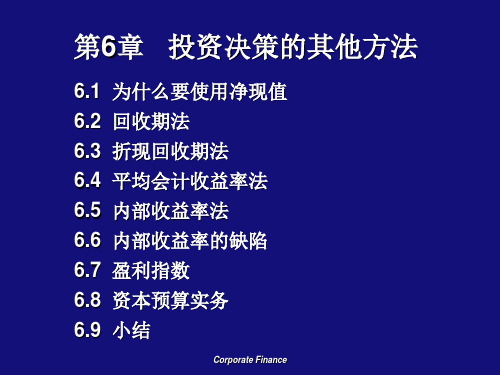 公司理财6投资决策的其他方法ppt课件