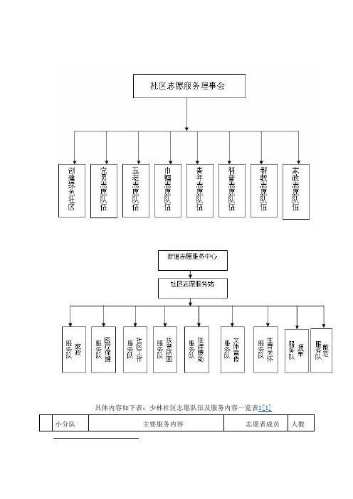 志愿者服务网络体系图