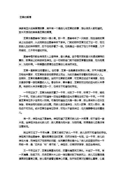 芝草的爱情