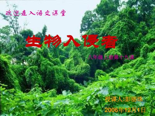 八年级语文课件：“生物入侵者” (1)