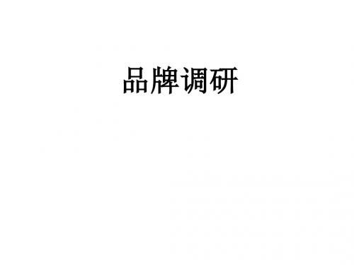 品牌调研
