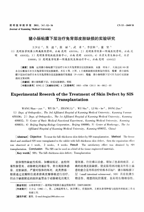 猪小肠粘膜下层治疗兔背部皮肤缺损的实验研究