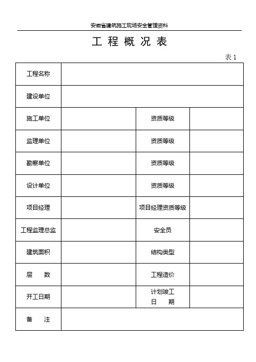 工程概况表(13种表格)