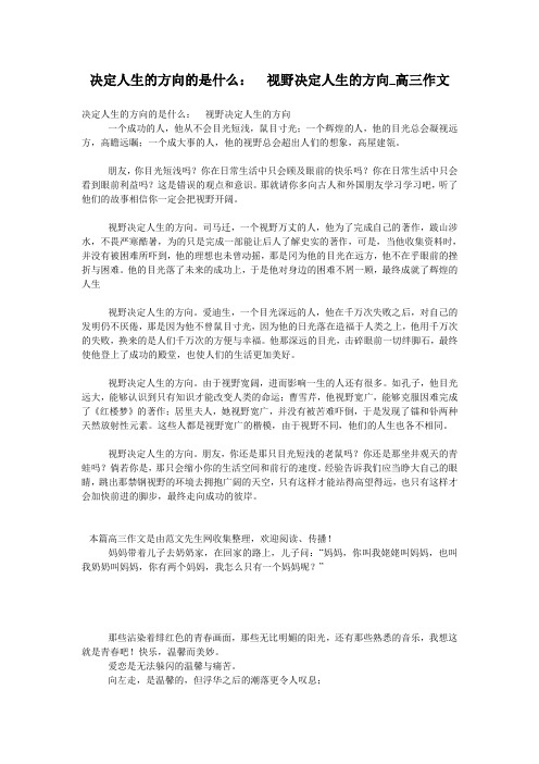 决定人生的方向的是什么： 视野决定人生的方向_高三作文