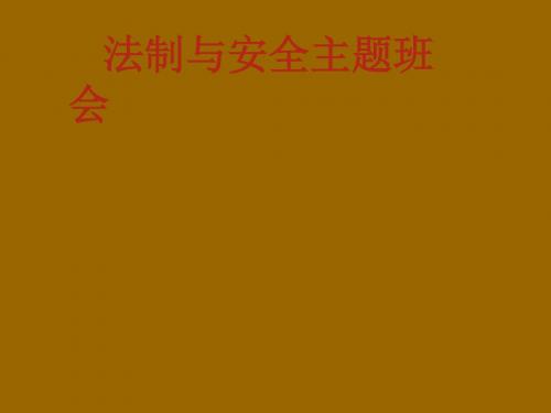 初中班会课件：法制与安全主题班会(共14张PPT)