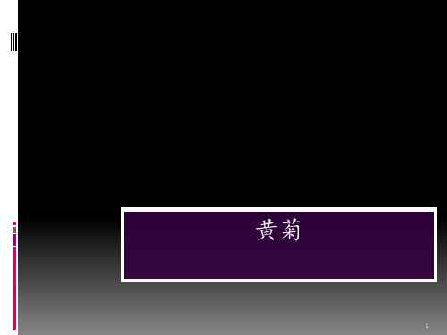 高分子材料专业英语最终稿 ppt课件