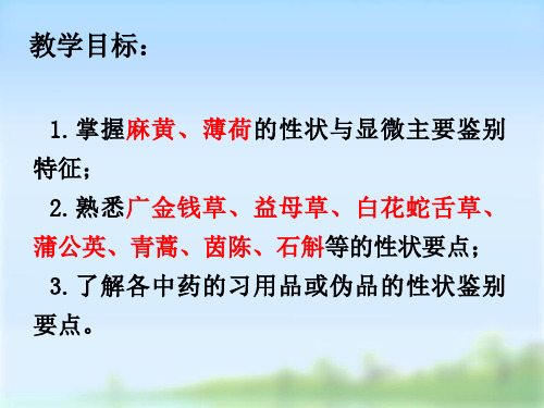 中药鉴定学课件 草1