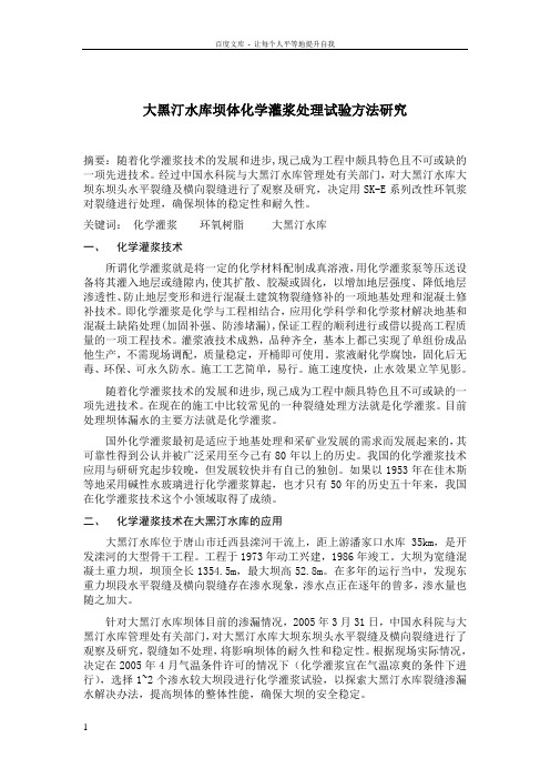 坝体漏水处理论文