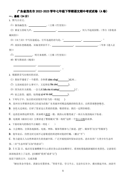 广东省茂名市2022-2023学年七年级下学期语文期中考试试卷(A卷)(含答案)