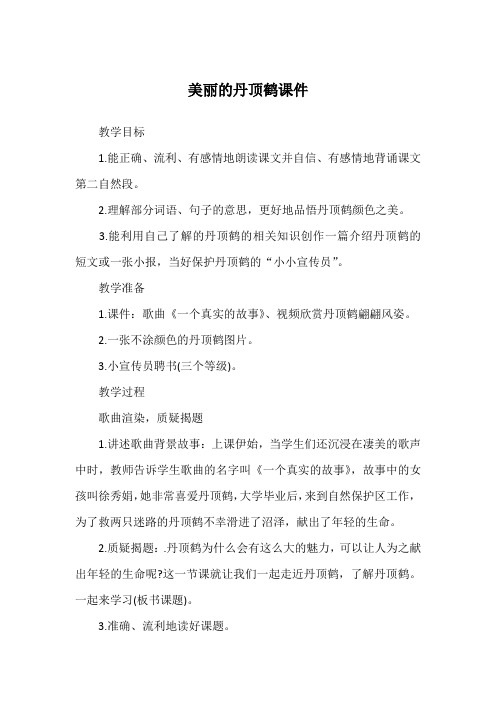 美丽的丹顶鹤课件