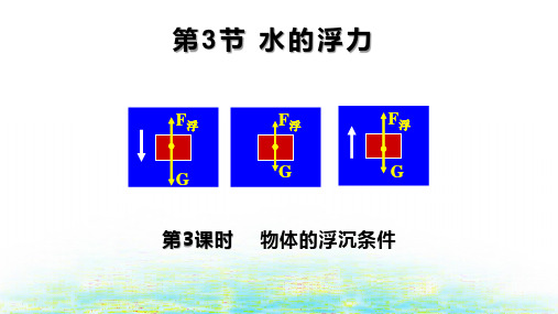 九年级下科学《水的浮力》_ppt1