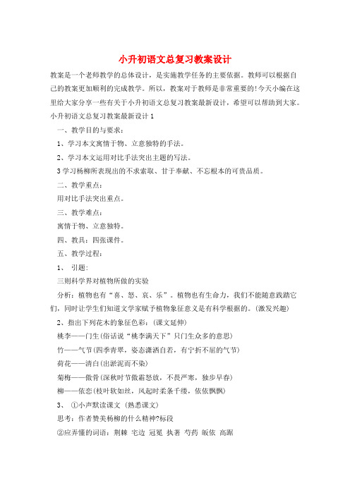 小升初语文总复习教案设计