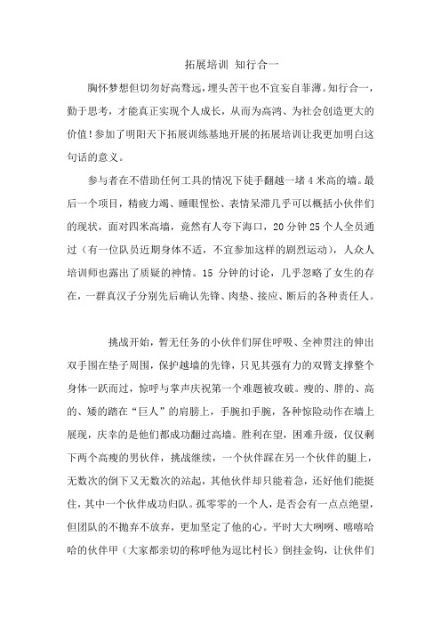 拓展训练——知行合一