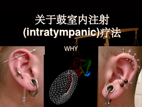 《关于鼓室注射》PPT课件
