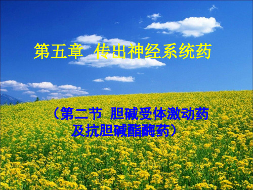 第二节   胆碱受体激动药及抗胆碱酯酶药