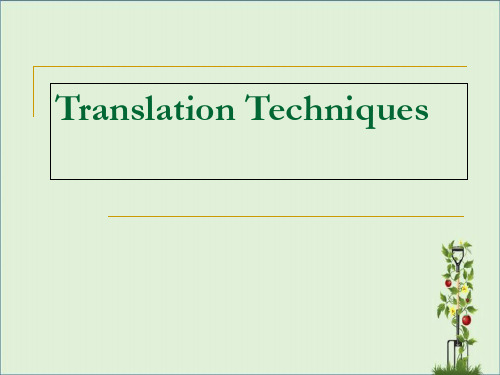 TranslationTechniques解读