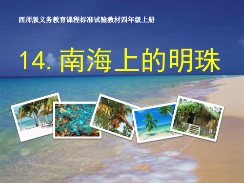 《南海上的明珠》PPT课件四