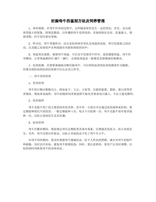 妊娠母牛的鉴别方法及饲养管理