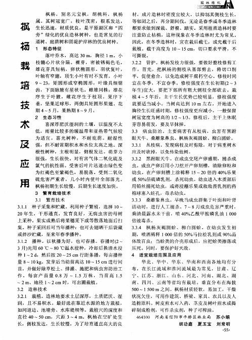 枫杨栽培技术及应用