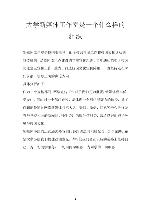 大学新媒体工作室是一个什么样的组织