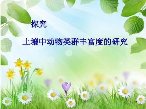4.3土壤小动物l类群丰富度的调查