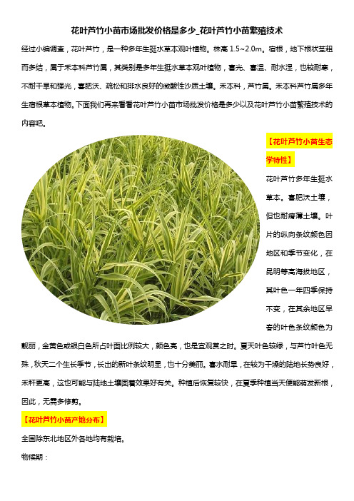 花叶芦竹小苗市场批发价格是多少_花叶芦竹小苗繁殖技术