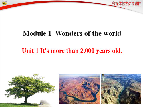 外研版九年级英语上册Module1Unit2全新PPT课件