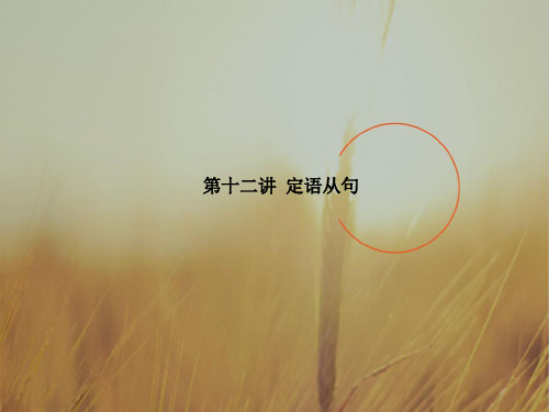 2018版高考英语一轮复习课件：语法：第十二讲 定语从句 精品