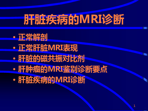 肝脏肿瘤MRI诊断ppt课件