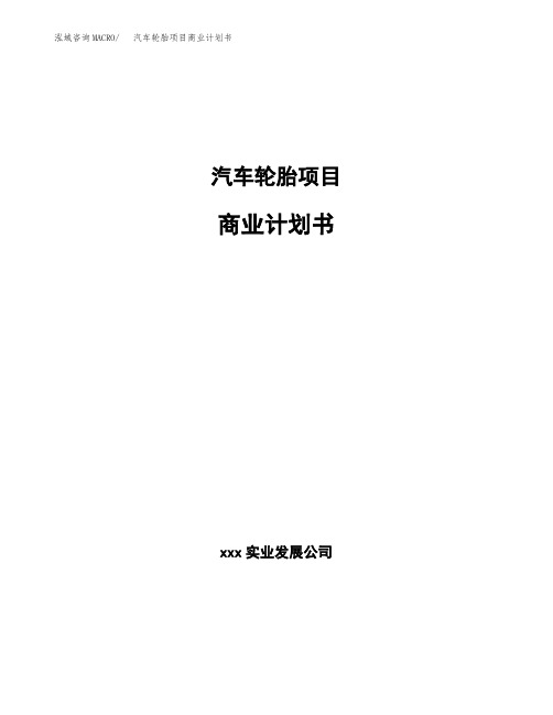 汽车轮胎项目商业计划书