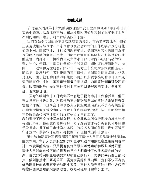 (word完整版)审计学实践课程总结,推荐文档