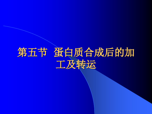 第五节蛋白质合成后的加工及转运