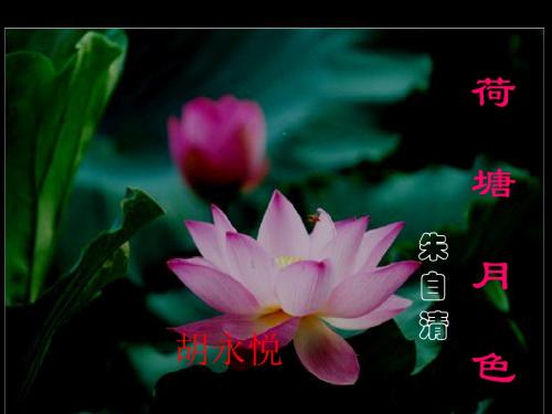 《荷塘月色》第二课时