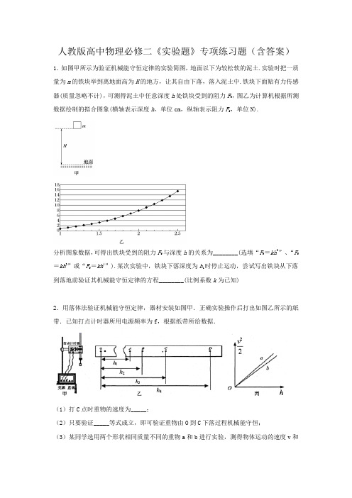 人教版高中物理必修二《实验题》专项练习题(含答案)