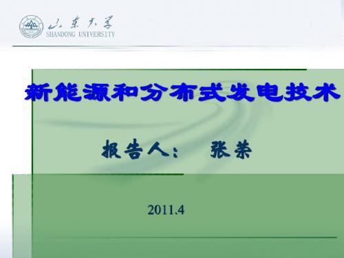 培训课件1 新能源和分布式发电技术